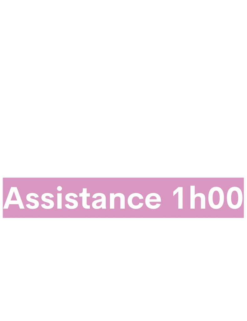 Assistance (1h00)